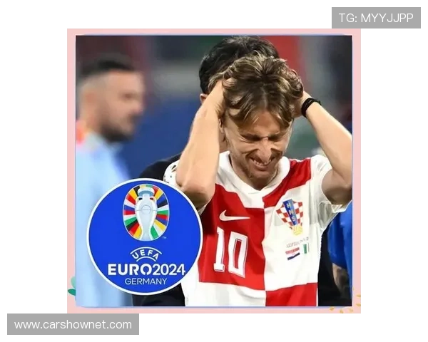 欧洲杯亚军遗憾