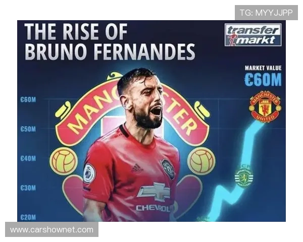 内维斯高强度压迫下的抗压表现解析